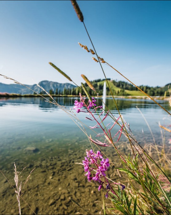 Grafenbergsee © Wagrain-Kleinarl