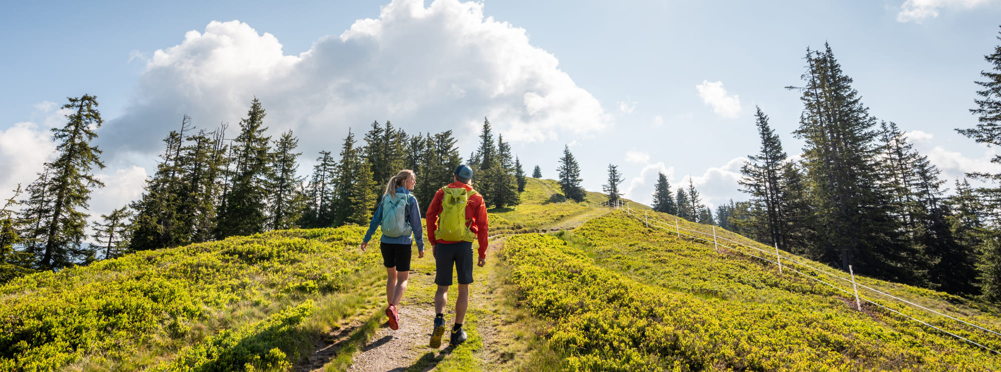 Wandern in Wagrain-Kleinarl © wagrain-kleinarl-tourismus-lorenz-masser