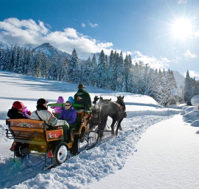 Pferdeschlittenfahrt