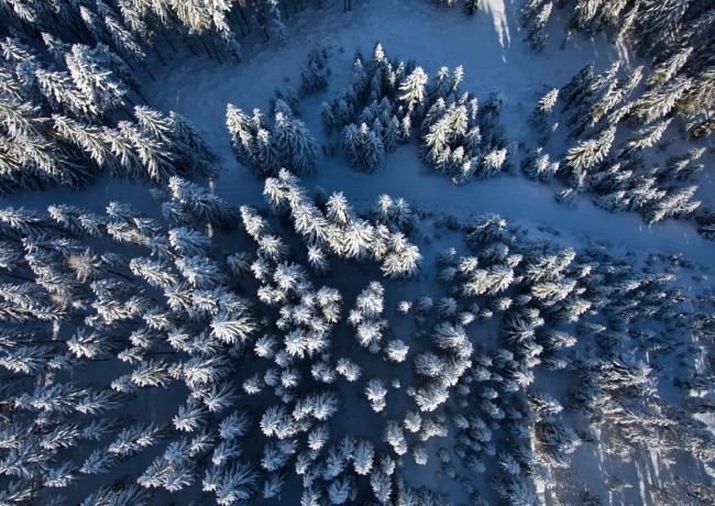 Drohnenaufnahme des tief verschneiten Nadelwaldes