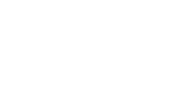 Ihr PKW steht sicher!